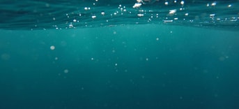 Water 2021 12 01 141157 orbn