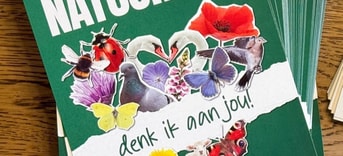 Valentijnsactie