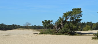 Natuur en biodiversiteit