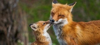 Jeremy hynes mw Iqq M1otnk unsplash