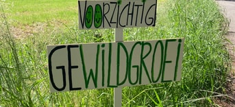 Gewildgroei