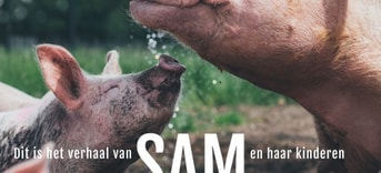 500x707 SAM poster