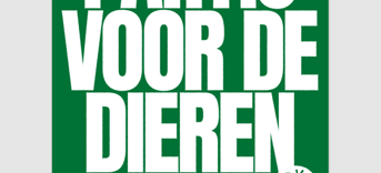 Verkiezingen Tweede Kamer 2025