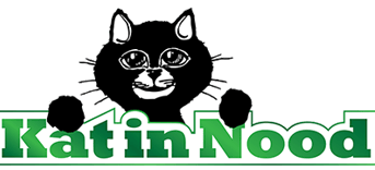 Logo katinnood regular