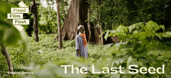 Thelastseed