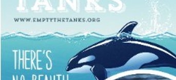 Empty the tanks1