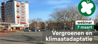 Webinar Vergroenen en Klimaatadaptatie