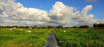 6 natuurlijkwaterpeil