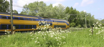 Trein Â i Stockphoto com Bies