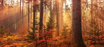 Meer Natuur 3