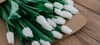 Tulpen bosje bloemen gif bloembollen gifvrij pesticiden landbouwgif bollenteelt