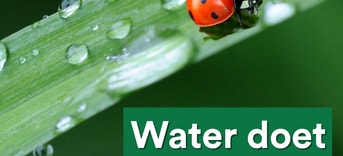 Watersymposium vierkante afbeelding vor op site