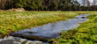 Water Lettele