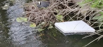 Plasticvervuiling 2022 05 12 094954 gqbn