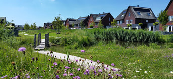 Pijnacker natuurinclusief