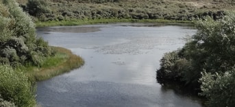 008_Pvd D_Rijnland_Meer_Katwijk-pxhere.com