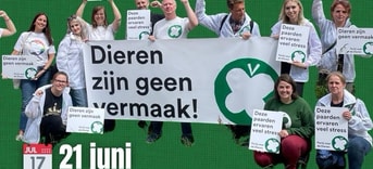 CHIO afbeelding
