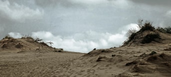 Duinen Hoek van Holland