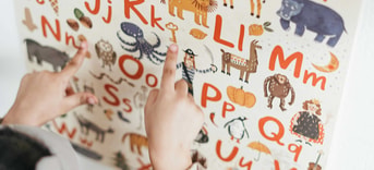 Onderwijs les dieren