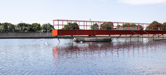 Zuivering