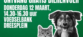 Poster Dreesplein 16 9