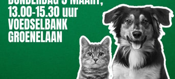 Poster Groenelaan 16 9