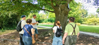 Wandeling Schiedam West