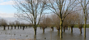 High water 2940596 1920