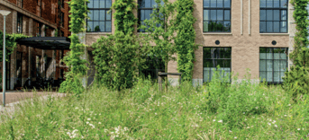 Schermafbeelding 2026 03 15 192601