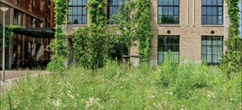 Wonen