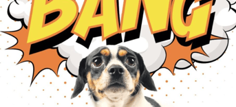 Bange hond