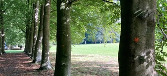 Beukenlaan Huis Doorn