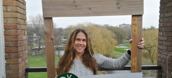Steen eruit groen erin Het selfiebord in de maak