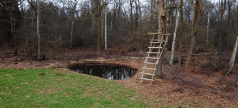 Jachtstoel bij ecoduct Maarsbergen