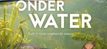 Filmposter Nederland onder Water uitsnede 768x512