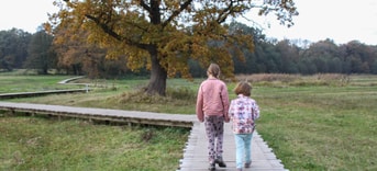 Wandelen in het Renkums Beekdal foto 8 43