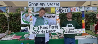 Molenmarkt W Zeger en Ivo