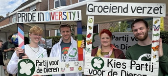 Molenmarkt Wagenignen Zwanny