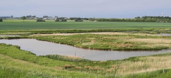 Natuur naast akker
