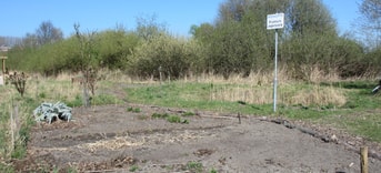 Pluktuin 1