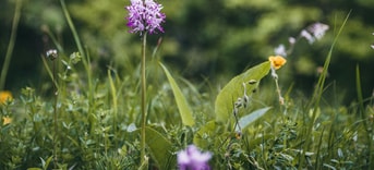 Fotos website1