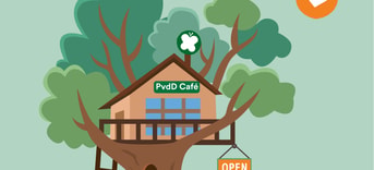 Pvd D café