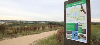 Waterdunen 02