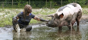 Animalstoday Sam en Karen samen in een modderpoel foto Sabine Bison
