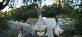 Samuel jeronimo Pptyyh Fjra4 unsplash