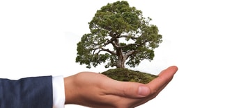 Environment 2948299 1280