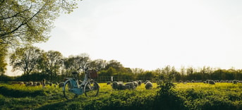 Kira laktionov Viht Yw FT0 J4 unsplash