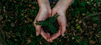 Noah buscher x8 Z Stuk S2 PM unsplash