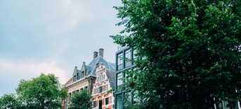 Pexels adrien olichon 3884477