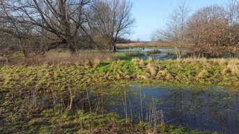 Natuur landschap